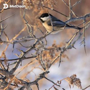 Meet your Posher, Suzanne